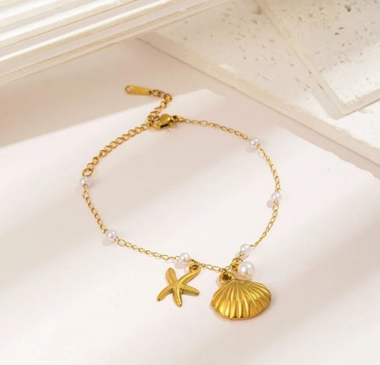 Marine shell bracelet